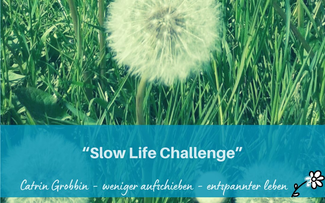 “Slow Life Challenge”
