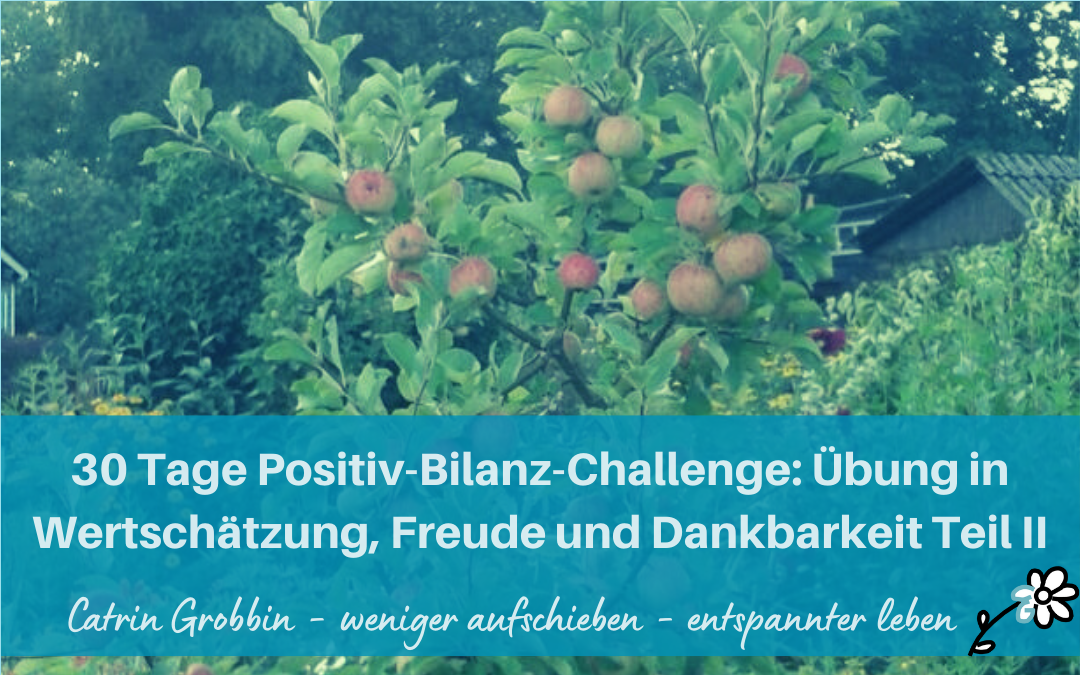 30 Tage Positiv-Bilanz-Challenge: Übung in Wertschätzung, Freude und Dankbarkeit Teil II