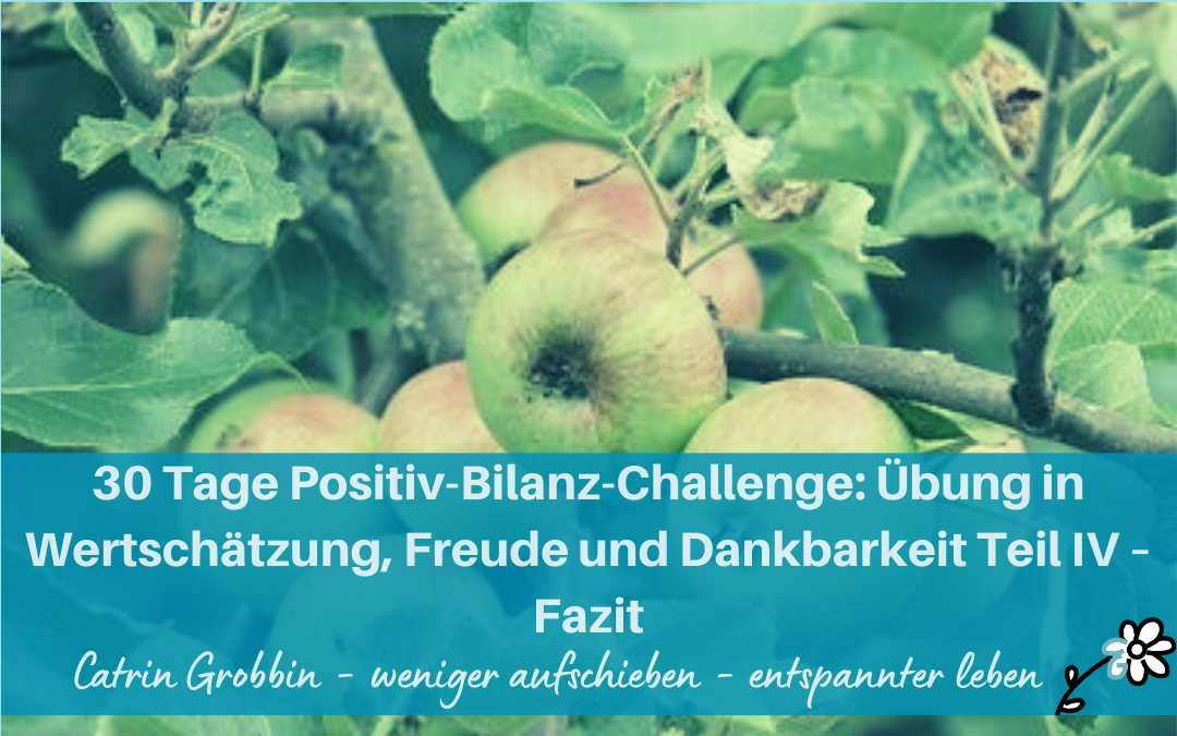 30 Tage Positiv-Bilanz-Challenge: Übung in Wertschätzung, Freude und Dankbarkeit Teil IV – Fazit