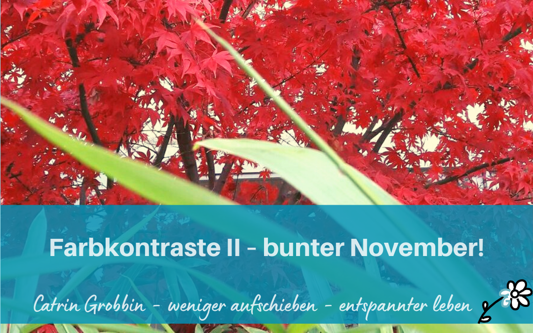 Farbkontraste II – bunter November!