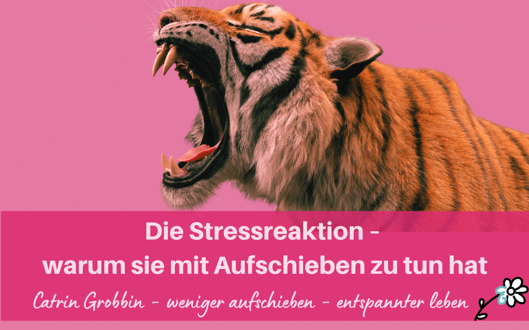 Die Stressreaktion – warum sie mit Aufschieben zu tun hat